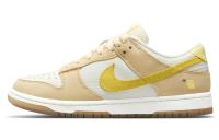 NIKE Dunk Кроссовки для скейтбординга Низкие Женские