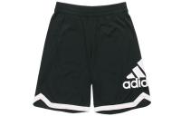 Adidas Casual Shorts Men