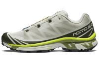 SALOMON XT 6 'Grey Beige Neon'
