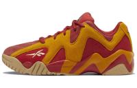 Reebok Hurrikaze 2 Повседневная обувь Низкий Топ Мужская