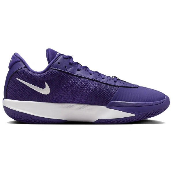 Nike Air Zoom Gt Cut Academy Tb Court Putple