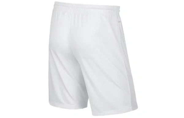 Nike Casual Shorts Men