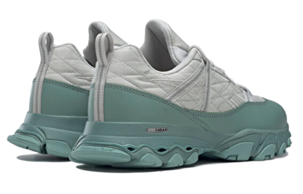Reebok DMX Бег по тропам Обувь Низкий Верх Унисекс