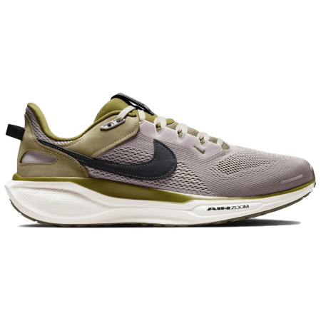 Nike Pegasus 41 Low Топ Повседневный Тренировочные Беговые кроссовки Мужские Серые