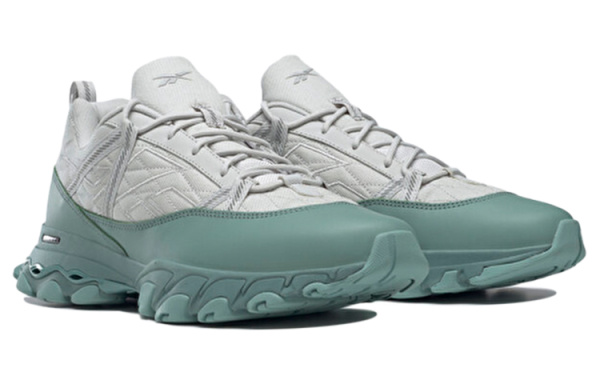 Reebok DMX Бег по тропам Обувь Низкий Верх Унисекс