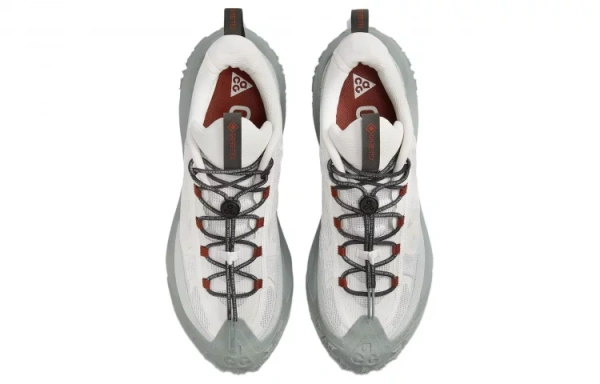 Nike ACG Mountain Fly 2 Low GORE TEX Phantom Light Silver