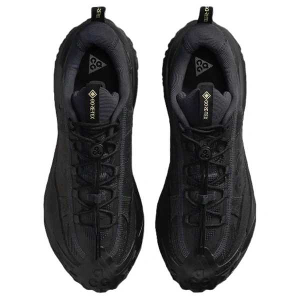Nike ACG Mountain Fly 2 Low Top Outdoor Shoes Unisex Black