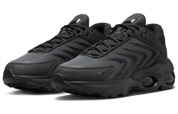 Nike Air Max TW Беговые кроссовки Низкий Верх Мужские