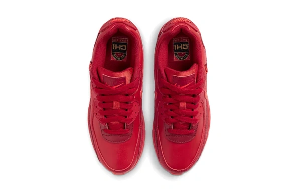 Nike Air Max 90 City Special Chicago GS