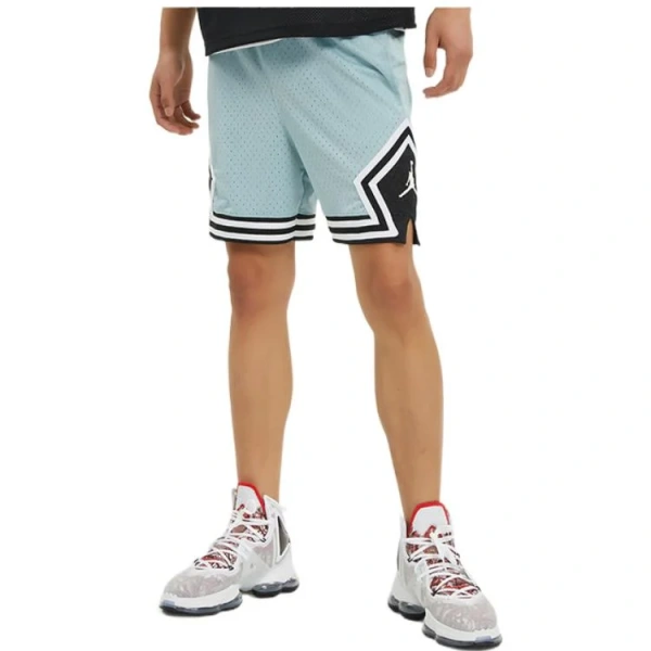 Jordan Casual Shorts Men's Blue