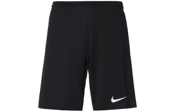 Nike Sports Shorts Men