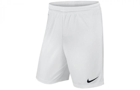 Nike Casual Shorts Men