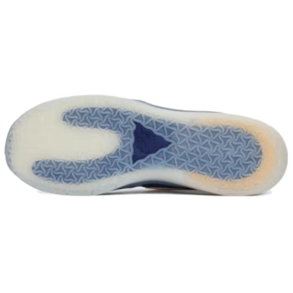 Nike SB PS8 Cushioning, Slip Resistant, And Abrasion Resistant Low Top Casual Shoes Unisex Blue