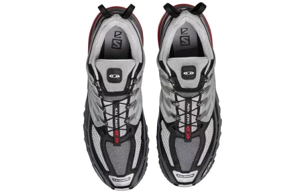 Acs Pro SALOMON Advanced 'Lunar Rock Goji Berry'