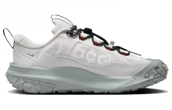 Nike ACG Mountain Fly 2 Low GORE TEX Phantom Light Silver