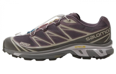 SALOMON XT 6 'Plum Kitten Gull'