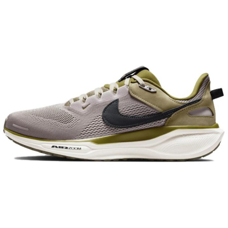 Nike Pegasus 41 Low Топ Повседневный Тренировочные Беговые кроссовки Мужские Серые