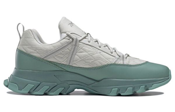 Reebok DMX Бег по тропам Обувь Низкий Верх Унисекс
