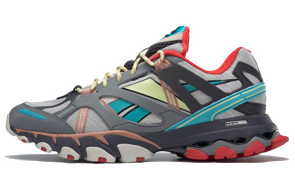 Reebok DMX Trail Повседневная обувь Низкий Топ Унисекс