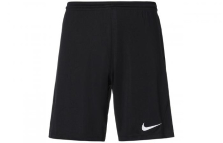 Nike Sports Shorts Men