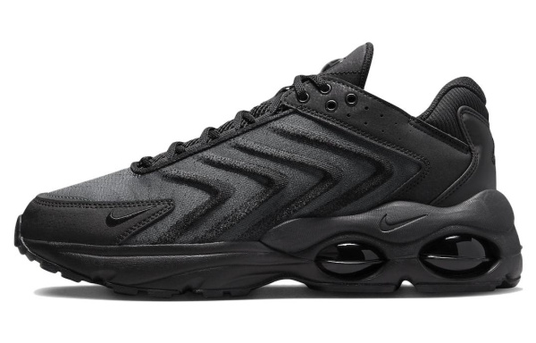 Nike Air Max TW Беговые кроссовки Низкий Верх Мужские