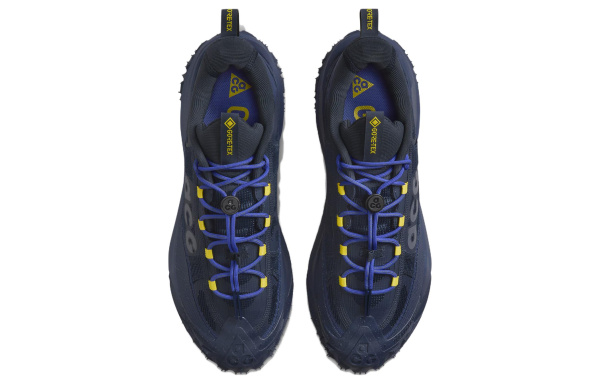 NIKE ACG Mountain Fly Уличная обувь Низкий Топ Синий Черный Мужская