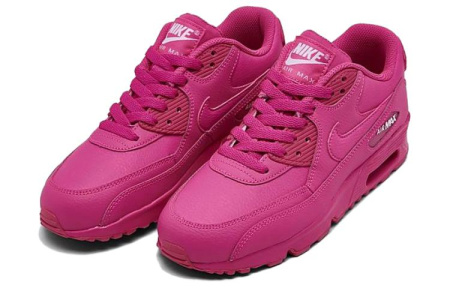 Nike Air Max 90 Детские беговые кроссовки Низкий Верх Унисекс