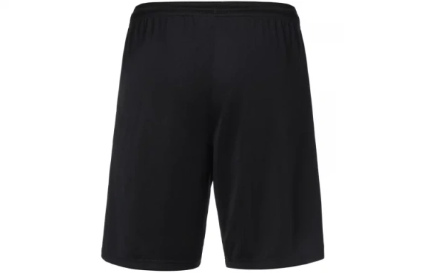 Nike Sports Shorts Men